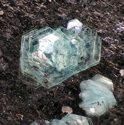 Gordaite<br />Mina Casualidad, Cordillera de los Picachos, Baños de Sierra Alhamilla, Pechina, Comarca Metropolitana de Almería, Almería, Andalucía, España<br />FOV 2,2 mm<br /> (Author: Rewitzer Christian)