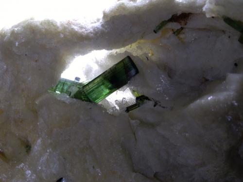 Tourmaline<br />Pederneira claim, São José da Safira, Governador Valadares, Vale do Rio Doce, Minas Gerais, Brazil<br />11 x 7,5 cm<br /> (Author: Sante Celiberti)