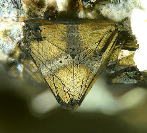 Tetrahedrite and Chalcopyrite<br />Mina Casualidad, Cordillera de los Picachos, Baños de Sierra Alhamilla, Pechina, Comarca Metropolitana de Almería, Almería, Andalucía, España<br />FOV 1,3 mm<br /> (Author: Rewitzer Christian)