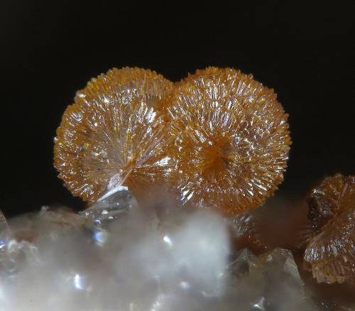 Strengite<br />Mina La Paloma, Zarza la Mayor, Mancomunidad Rivera de Fresnedosa, Cáceres, Extremadura, España<br />FOV 1,4 mm<br /> (Author: Rewitzer Christian)