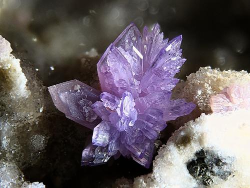 Strengite<br />La Paloma Mine, Zarza la Mayor, Mancomunidad Rivera de Fresnedosa, Cáceres, Extremadura, Spain<br />FOV 3 mm<br /> (Author: Rewitzer Christian)