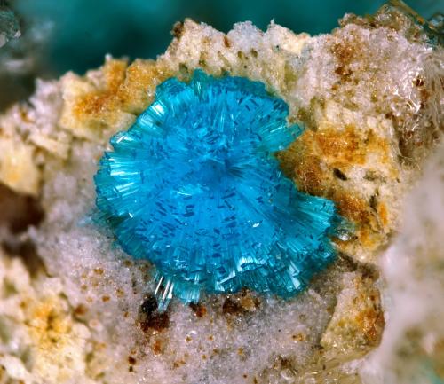 Serpierite<br />Casualidad Mine, Cordillera de los Picachos, Baños de Sierra Alhamilla, Pechina, Comarca Metropolitana de Almería, Almería, Andalusia, Spain<br />FOV 1 mm<br /> (Author: Rewitzer Christian)