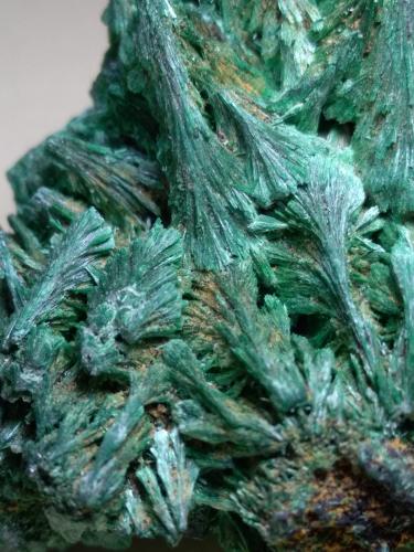 Malachite<br />Mina Is Murvonis, Domusnovas, Provincia Sud Sardegna, Cerdeña/Sardegna, Italia<br />59 x 42 mm<br /> (Author: Sante Celiberti)