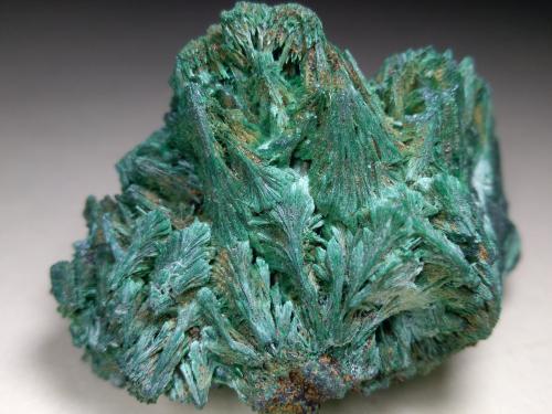 Malachite<br />Is Murvonis Mine, Domusnovas, Sud Sardegna Province, Sardinia/Sardegna, Italy<br />59 x 42 mm<br /> (Author: Sante Celiberti)