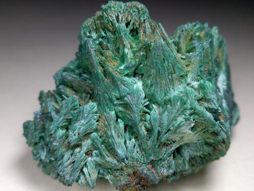 Malachite<br />Mina Is Murvonis, Domusnovas, Provincia Sud Sardegna, Cerdeña/Sardegna, Italia<br />59 x 42 mm<br /> (Author: Sante Celiberti)