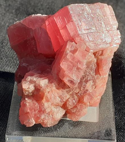 Rhodochrosite<br />Wutong Mine, Liubao, Cangwu, Wuzhou Prefecture, Guangxi Zhuang Autonomous Region, China<br />3,5 x 3 cm<br /> (Author: Volkmar Stingl)