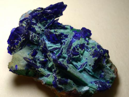 Azurite<br />Mina Calabona, Alghero, Provincia Sassari, Cerdeña/Sardegna, Italia<br />36 x 27 mm<br /> (Author: Sante Celiberti)