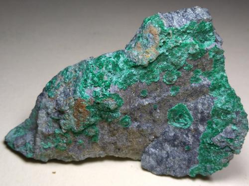 Malachite<br />Miniera Montevecchio, Arbus, Provincia Medio Campidano, Cerdeña/Sardegna, Italia<br />63 x 45 mm<br /> (Author: Sante Celiberti)