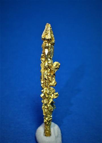 Gold<br />Aouint Ighoman, Assa-Zag Province, Guelmim-Oued Noun Region, Morocco<br />24 mm x 5 mm x 5 mm<br /> (Author: Don Lum)