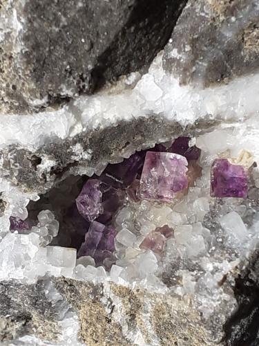 Fluorite, Calcite<br />Ungerhammerplatzl, Unterlaussa, Sankt Gallen, Liezen District, Styria/Steiermark, Austria<br />7 x 5 cm<br /> (Author: Volkmar Stingl)