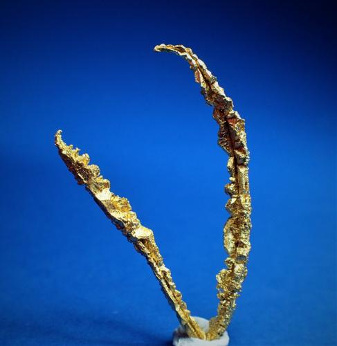 Gold<br />Aouint Ighoman, Assa-Zag Province, Guelmim-Oued Noun Region, Morocco<br />35 mm x 24 mm x 3 mm<br /> (Author: Don Lum)