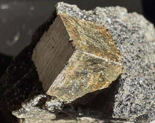 Pyrite<br />Sedl, Habach Valley, Hohe Tauern, Salzburg, Austria<br />3,5 x 3 cm<br /> (Author: Volkmar Stingl)