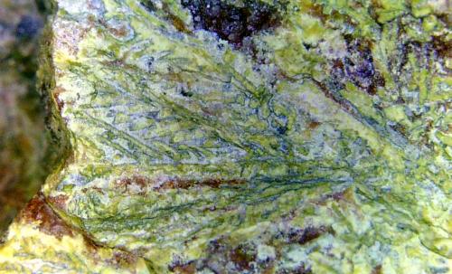 Sillenita, Bismutita<br />Mina Sauschwart, Neustädtel, Distrito Schneeberg, Erzgebirgskreis, Sajonia/Sachsen, Alemania<br />Campo de visión 1 cm.<br /> (Autor: Antonio P. López)