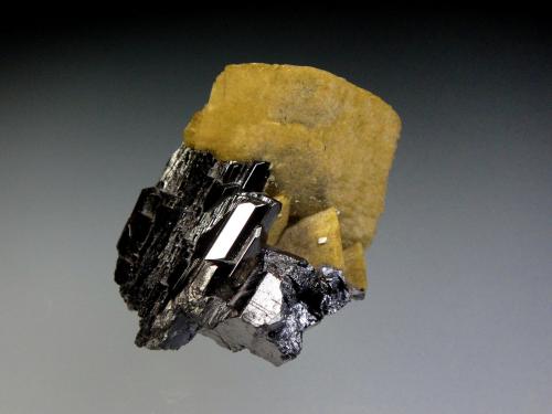 Ferberita, Siderita<br />Minas da Panasqueira, Aldeia de São Francisco de Assis, Covilhã, Castelo Branco, Cova da Beira, Centro, Portugal<br />4 x 4 cm.<br /> (Autor: Antonio P. López)