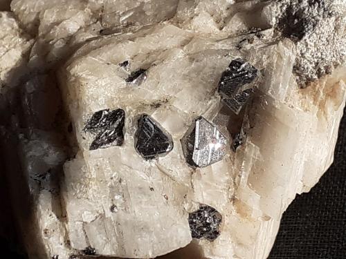 Carrollite, Calcite<br />Kamoya South II Mine, Kamoya, Kambove District, Katanga Copper Crescent, Katanga (Shaba), Democratic Republic of the Congo (Zaire)<br />6 x 4 cm<br /> (Author: Volkmar Stingl)