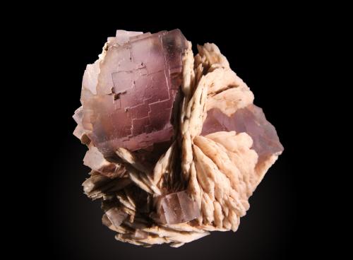 Fluorite<br />Berbes mining area, Berbes, Ribadesella, Comarca Oriente, Principality of Asturias (Asturias), Spain<br />92mm x 82mm x 67mm. Main crystal is 45 mm on edge.<br /> (Author: Firmo Espinar)