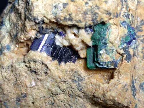 Azurita, Malaquita<br />Calabona Mine, Alghero, Sassari Province, Sardinia/Sardegna, Italy<br />64 x 47 mm<br /> (Autor: Sante Celiberti)