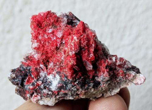 Cinabrio, Yeso<br />Hozarco Mine, Monte Santa Catalina, Desfiladero de la Hermida, Piñeres, Peñarrubia, Comarca Saja-Nansa, Cantabria, Spain<br />4,5 x 3,0 cm.<br /> (Autor: Carles)