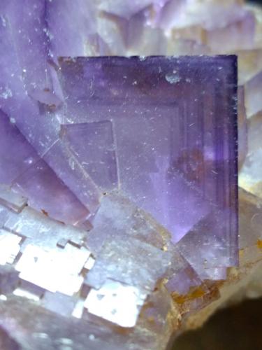 Fluorite, Hemimorphite<br />Is Murvonis Mine, Domusnovas, Sud Sardegna Province, Sardinia/Sardegna, Italy<br />10,5 x 8,5 cm<br /> (Author: Sante Celiberti)