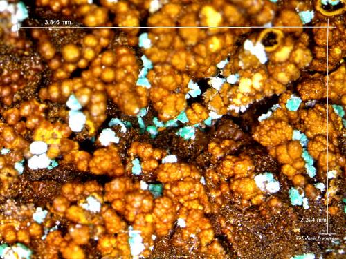 Alofana.<br />Cala Mines, Cala, Comarca Sierra de Huelva, Huelva, Andalusia, Spain<br />3´846 x 2´324 mm.<br /> (Autor: Jesus Franquesa Baucells)