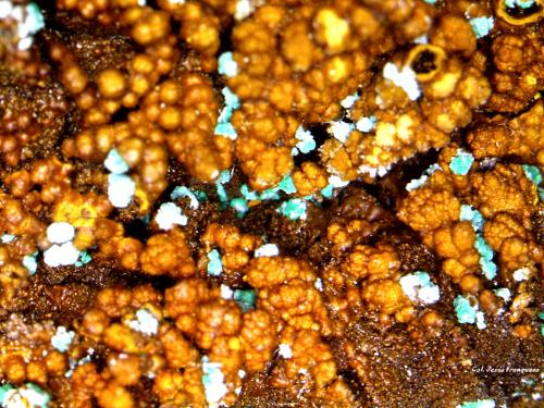 Alofana.<br />Cala Mines, Cala, Comarca Sierra de Huelva, Huelva, Andalusia, Spain<br />3´846 x 2´324 mm.<br /> (Autor: Jesus Franquesa Baucells)