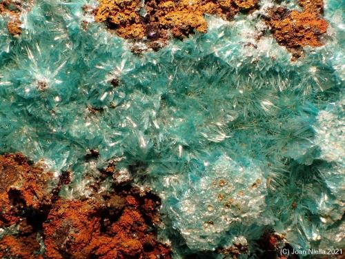 Aurichalcita (Auricalcita)<br />Mina Ojuela, Mapimí, Municipio Mapimí, Durango, México<br />CV 3 x 2 cm<br /> (Autor: Joan Niella)