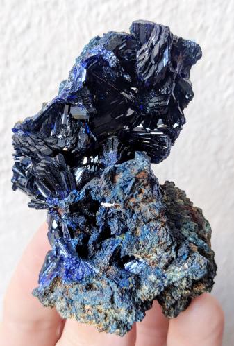 Azurita<br />Shaft IX (Puit IX), Touissit, Touissit District, Jerada Province, Oriental Region, Morocco<br />7,5 x 5,3 cm.<br /> (Autor: Carles)