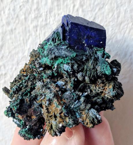 Azurita, Malaquita<br />El Fecht prospects, El Fecht, Oumjrane, Tinghir Province, Drâa-Tafilalet Region, Morocco<br />5,9 x 5,0 cm.<br /> (Autor: Carles)