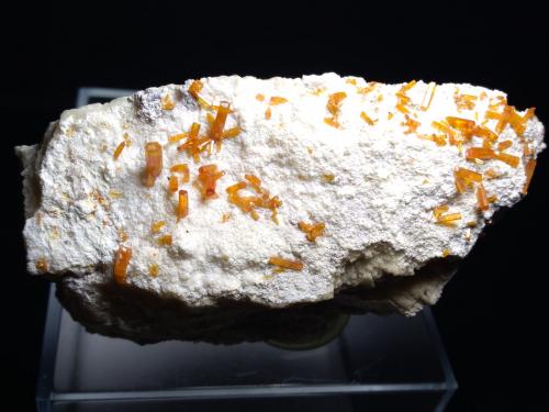 Vanadinite<br />San Carlos Mine (Apex Mine), San Carlos, Municipio Manuel Benavides, Chihuahua, Mexico<br />77 x 40 mm<br /> (Author: Sante Celiberti)