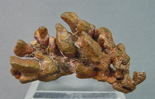 Copper<br />Upper Antelope Valley, Weaver Mountains, Yarnell, Yavapai County, Arizona, USA<br />4.5cm x 2.7cm<br /> (Author: rweaver)