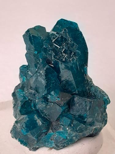 Dioptase<br />Tsumeb Mine, Tsumeb, Otjikoto Region, Namibia<br />2,5 x 2 cm<br /> (Author: Volkmar Stingl)