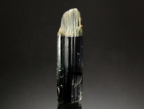 Actinolite<br />West Uis, Namibia<br />1.5 x 5.5 cm.<br /> (Author: Michael Shaw)