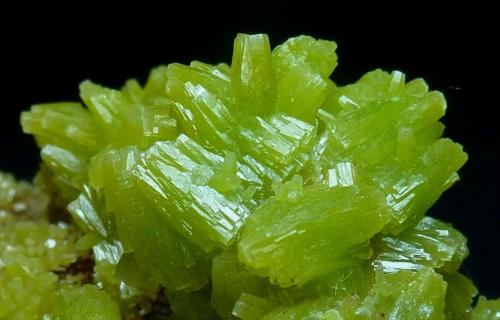 Piromorfita<br />San Andrés Mine, Espiel, Comarca Valle del Guadiato, Córdoba, Andalusia, Spain<br />Encuadre 2,5 x 2 cm.<br /> (Autor: javier ruiz martin)