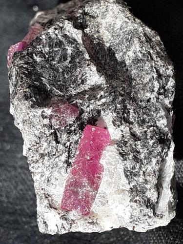 Corundum (variety ruby)<br />Mysore District, Karnataka, India<br />3,5 x 2,5 cm<br /> (Author: Volkmar Stingl)