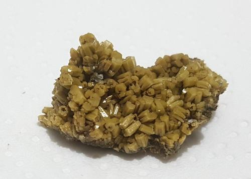 Piromorfita<br />Monte Bedures, Meredo, Vegadeo, Comarca Eo-Navia, Principado de Asturias (Asturias), España<br />30x20 mm<br /> (Autor: joaquin gar)