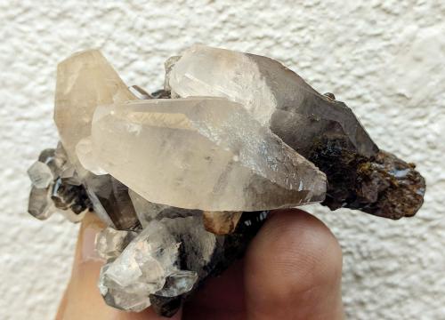 Calcita<br />Herculano Mine, El Puntal, Campos de Golf, Atamaría, Cartagena, Comarca Campo de Cartagena, Region of Murcia (Murcia), Spain<br />6,0 x 4,0 cm.<br /> (Autor: Carles)