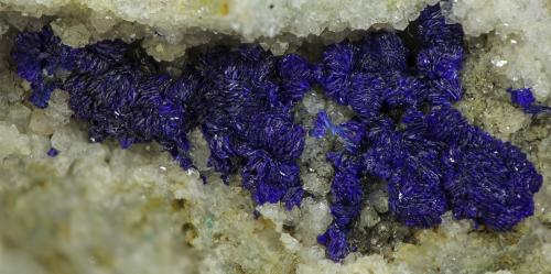 Azurite<br />Neubulach, Calw, Calw District, Karlsruhe Region, Baden-Württemberg, Germany<br />VOF 23 mm (whole piece 45 x 45 x 40 mm)<br /> (Author: Rob Schnerr)
