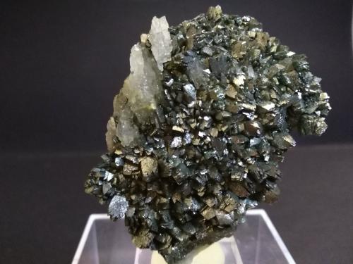 Marcasite, Baryte<br />Silius, Ciudad metropolitana de Cagliari, Cerdeña/Sardegna, Italia<br />78,5 x 53 mm<br /> (Author: Sante Celiberti)