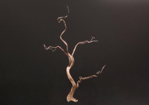 Silver<br />Mina Hongda, Xiaoqinggou, Lingqiu, Prefectura Datong, Provincia Shanxi, China<br />3.0 x 5.0 cm<br /> (Author: Michael Shaw)