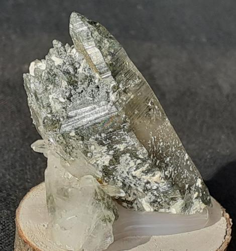 Quartz, Actinolite, Tremolite<br />Saurüssel, Zona Mörchner, Zemmgrund, Valle Ziller (Zillertal), Tirol Norte, Tirol, Austria<br />4 x 2 cm<br /> (Author: Volkmar Stingl)