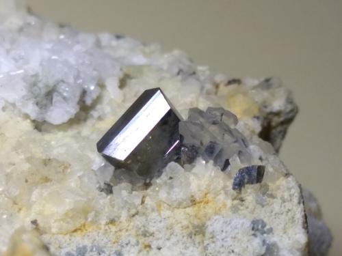 Anatase, Albite, Quartz<br />Taftan, Distrito Chagai, Balochistan (Baluchistan), Paquistán<br /><br /> (Author: Sante Celiberti)