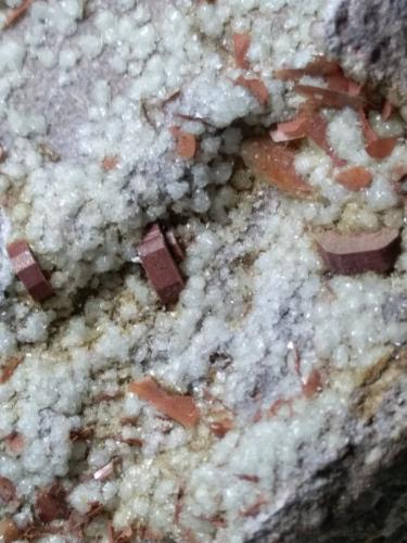 Cordierite, Muscovite, Tridymite<br />Funtanafigu Quarry, Marrubiu, Arci Mountain, Oristano Province, Sardinia/Sardegna, Italy<br />75 x 73 mm<br /> (Author: Sante Celiberti)