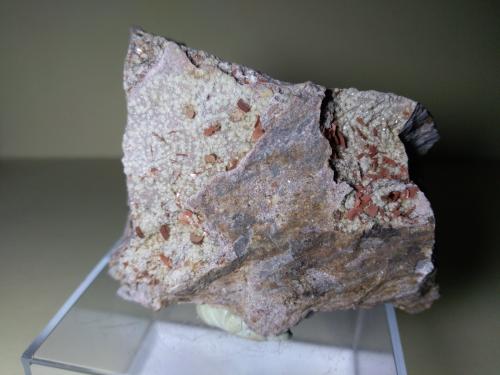 Cordierite, Muscovite, Tridymite<br />Funtanafigu Quarry, Marrubiu, Arci Mountain, Oristano Province, Sardinia/Sardegna, Italy<br />75 x 73 mm<br /> (Author: Sante Celiberti)