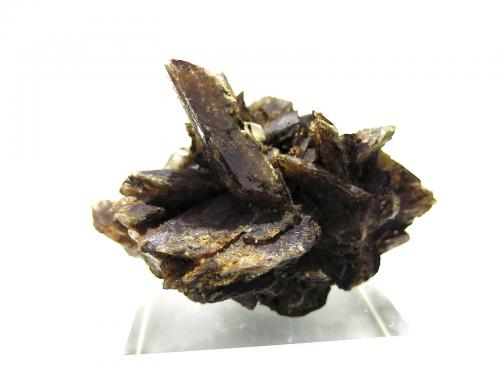 Axinite-(Fe), Quartz<br />Rampe des Commères, Le Bourg d'Oisans, Grenoble, Isère, Auvergne-Rhône-Alpes, Francia<br />8 x 8 cm<br /> (Author: Jean Suffert)