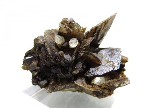 Axinite-(Fe), Quartz<br />Rampe des Commères, Le Bourg d'Oisans, Grenoble, Isère, Auvergne-Rhône-Alpes, France<br />8 x 8 cm<br /> (Author: Jean Suffert)