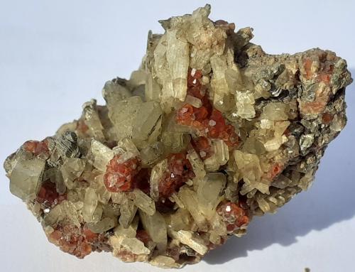 Diopside, Grossular<br />Mussa Alp, Balme, Val d'Ala, Lanzo Valleys (Valli di Lanzo), Metropolitan City of Turin Province, Piedmont (Piemonte), Italy<br />3,5 x 2 cm<br /> (Author: Volkmar Stingl)