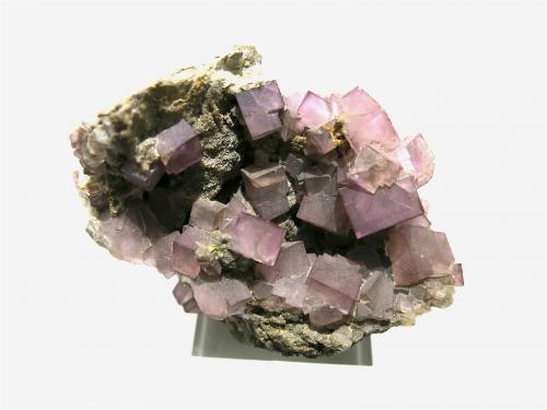 Fluorite<br />Bergheim, Colmar-Ribeauvillé, Collectivité Européenne d'Alsace, Grand Est, France<br />6 x 5 cm<br /> (Author: Jean Suffert)