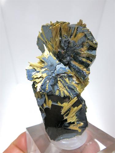 Rutile on Hematite<br />Ibitiara, Bahia, Northeast Region, Brazil<br />8 x 5 cm<br /> (Author: Jean Suffert)