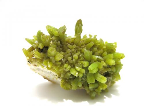 Pyromorphite<br />Mina Daoping, Gongcheng, Prefectura Guilin, Región Autónoma Guangxi Zhuang, China<br />6.5 x 4 cm<br /> (Author: Jean Suffert)