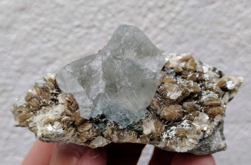 Fluorita, Moscovita<br />Mina Vinheiros, nivel 4, Coto minero Vale das Gatas, Sabrosa, Distrito Vila Real, Región Norte, Portugal<br />6,8 x 3,6 cm.<br /> (Autor: carles)